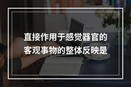 直接作用于感觉器官的客观事物的整体反映是