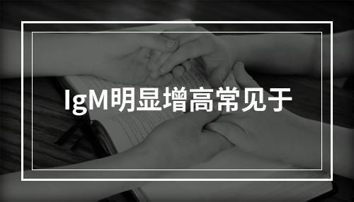 IgM明显增高常见于