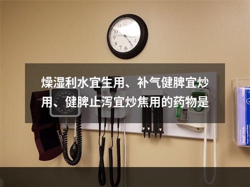 燥湿利水宜生用、补气健脾宜炒用、健脾止泻宜炒焦用的药物是