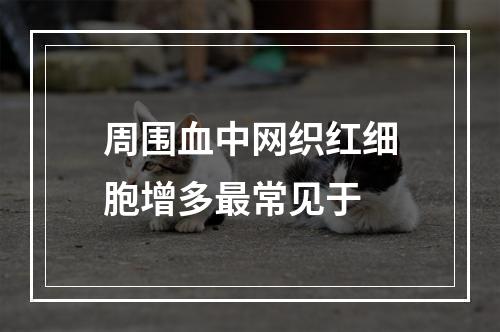 周围血中网织红细胞增多最常见于