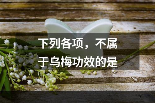 下列各项，不属于乌梅功效的是