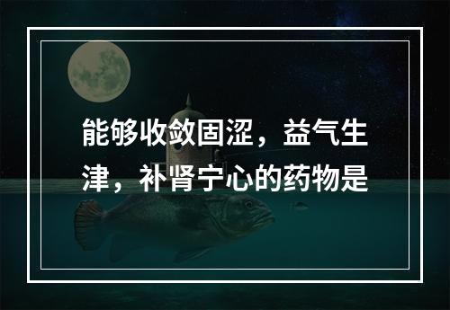 能够收敛固涩，益气生津，补肾宁心的药物是