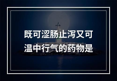 既可涩肠止泻又可温中行气的药物是