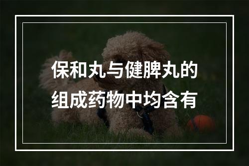 保和丸与健脾丸的组成药物中均含有