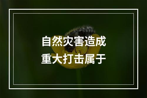 自然灾害造成重大打击属于