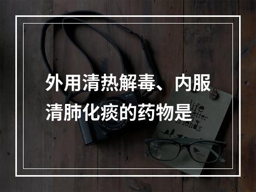 外用清热解毒、内服清肺化痰的药物是