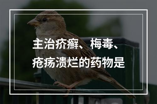 主治疥癣、梅毒、疮疡溃烂的药物是