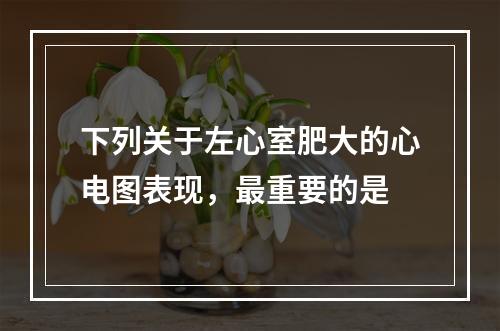 下列关于左心室肥大的心电图表现，最重要的是