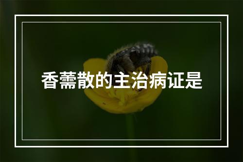 香薷散的主治病证是