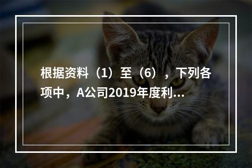 根据资料（1）至（6），下列各项中，A公司2019年度利润表