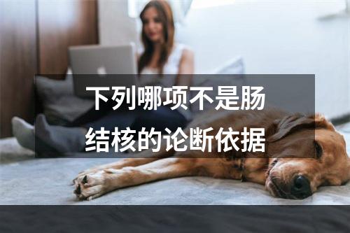 下列哪项不是肠结核的论断依据