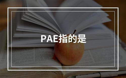 PAE指的是