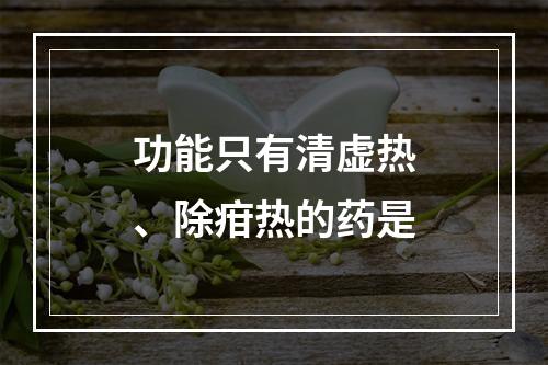 功能只有清虚热、除疳热的药是