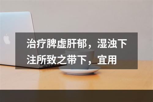 治疗脾虚肝郁，湿浊下注所致之带下，宜用