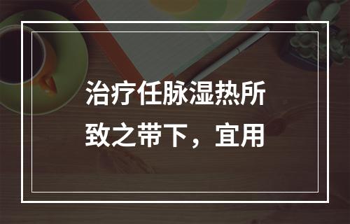 治疗任脉湿热所致之带下，宜用