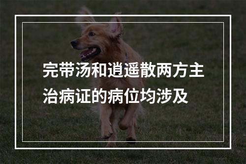 完带汤和逍遥散两方主治病证的病位均涉及