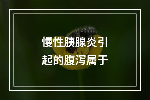 慢性胰腺炎引起的腹泻属于