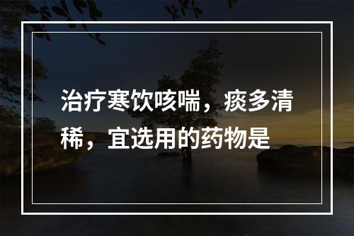 治疗寒饮咳喘，痰多清稀，宜选用的药物是