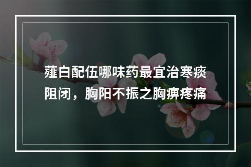 薤白配伍哪味药最宜治寒痰阻闭，胸阳不振之胸痹疼痛