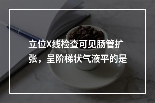 立位X线检查可见肠管扩张，呈阶梯状气液平的是