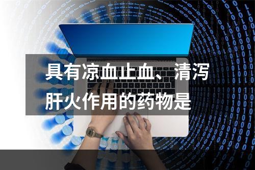 具有凉血止血、清泻肝火作用的药物是