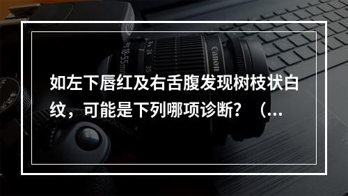 如左下唇红及右舌腹发现树枝状白纹，可能是下列哪项诊断？（　　