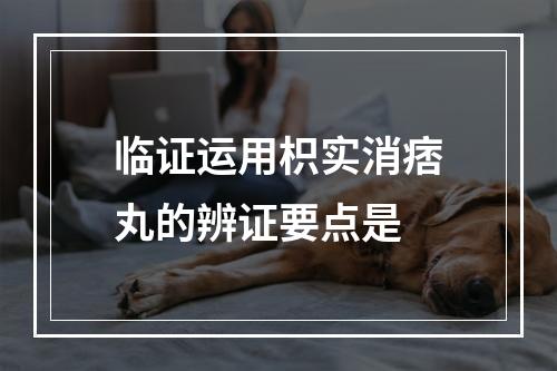 临证运用枳实消痞丸的辨证要点是