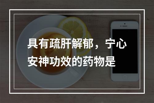 具有疏肝解郁，宁心安神功效的药物是