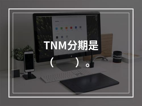 TNM分期是（　　）。