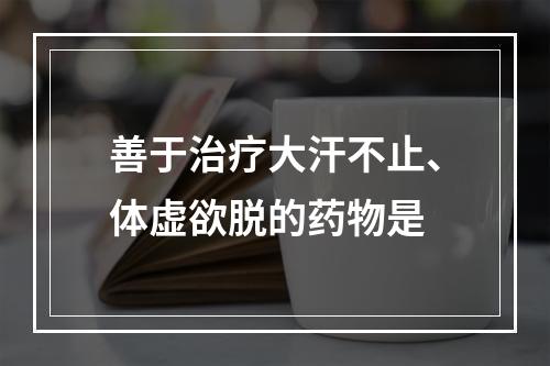 善于治疗大汗不止、体虚欲脱的药物是