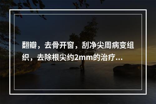 翻瓣，去骨开窗，刮净尖周病变组织，去除根尖约2mm的治疗是（