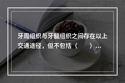 牙周组织与牙髓组织之间存在以上交通途径，但不包括（　　）。