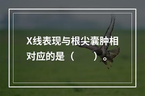 X线表现与根尖囊肿相对应的是（　　）。