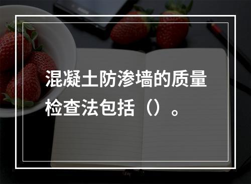 混凝土防渗墙的质量检查法包括（）。