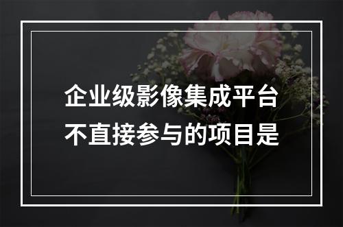 企业级影像集成平台不直接参与的项目是