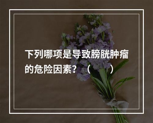 下列哪项是导致膀胱肿瘤的危险因素？（　　）