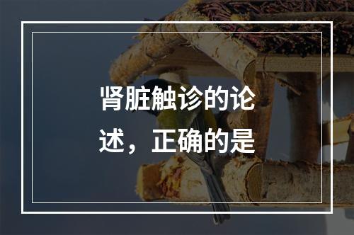 肾脏触诊的论述，正确的是