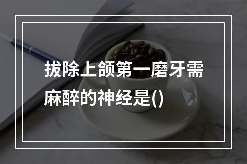 拔除上颌第一磨牙需麻醉的神经是()