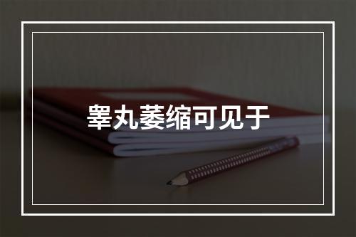 睾丸萎缩可见于