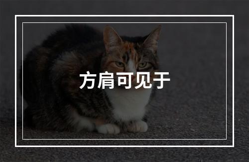 方肩可见于