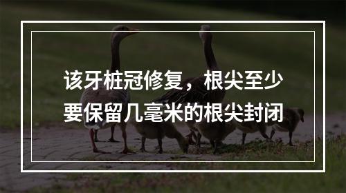 该牙桩冠修复，根尖至少要保留几毫米的根尖封闭