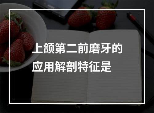 上颌第二前磨牙的应用解剖特征是