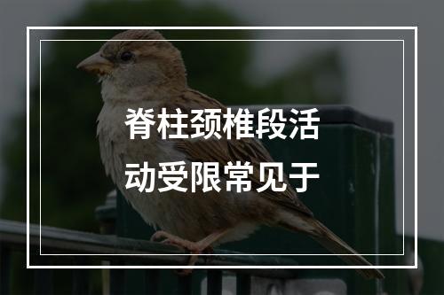 脊柱颈椎段活动受限常见于