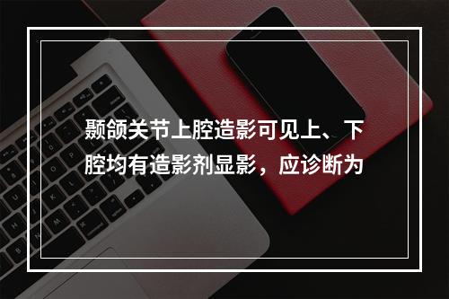 颞颌关节上腔造影可见上、下腔均有造影剂显影，应诊断为