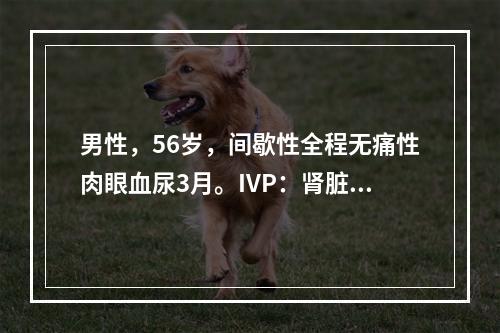 男性，56岁，间歇性全程无痛性肉眼血尿3月。IVP：肾脏、输