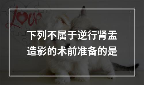 下列不属于逆行肾盂造影的术前准备的是