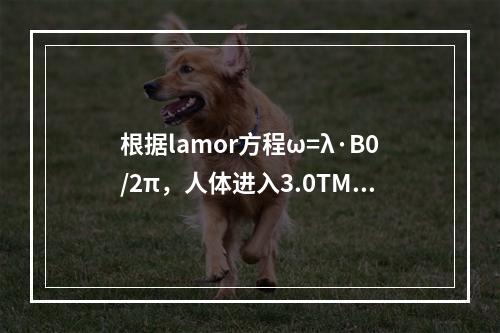 根据lamor方程ω=λ·B0/2π，人体进入3.0TMRI