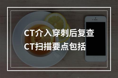 CT介入穿刺后复查CT扫描要点包括