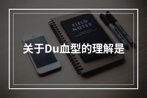 关于Du血型的理解是