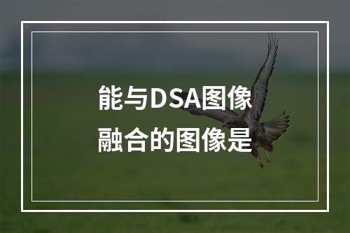 能与DSA图像融合的图像是